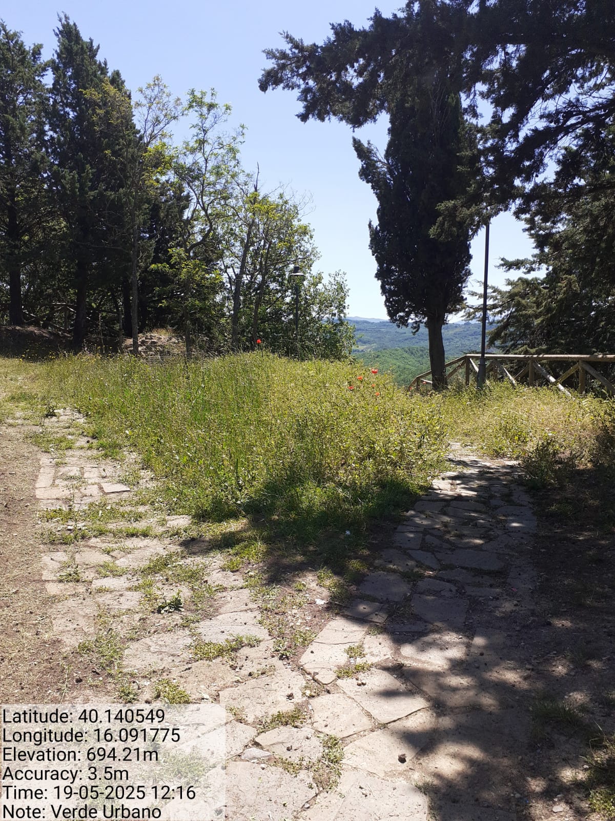 Galleria Fotografica Immagine