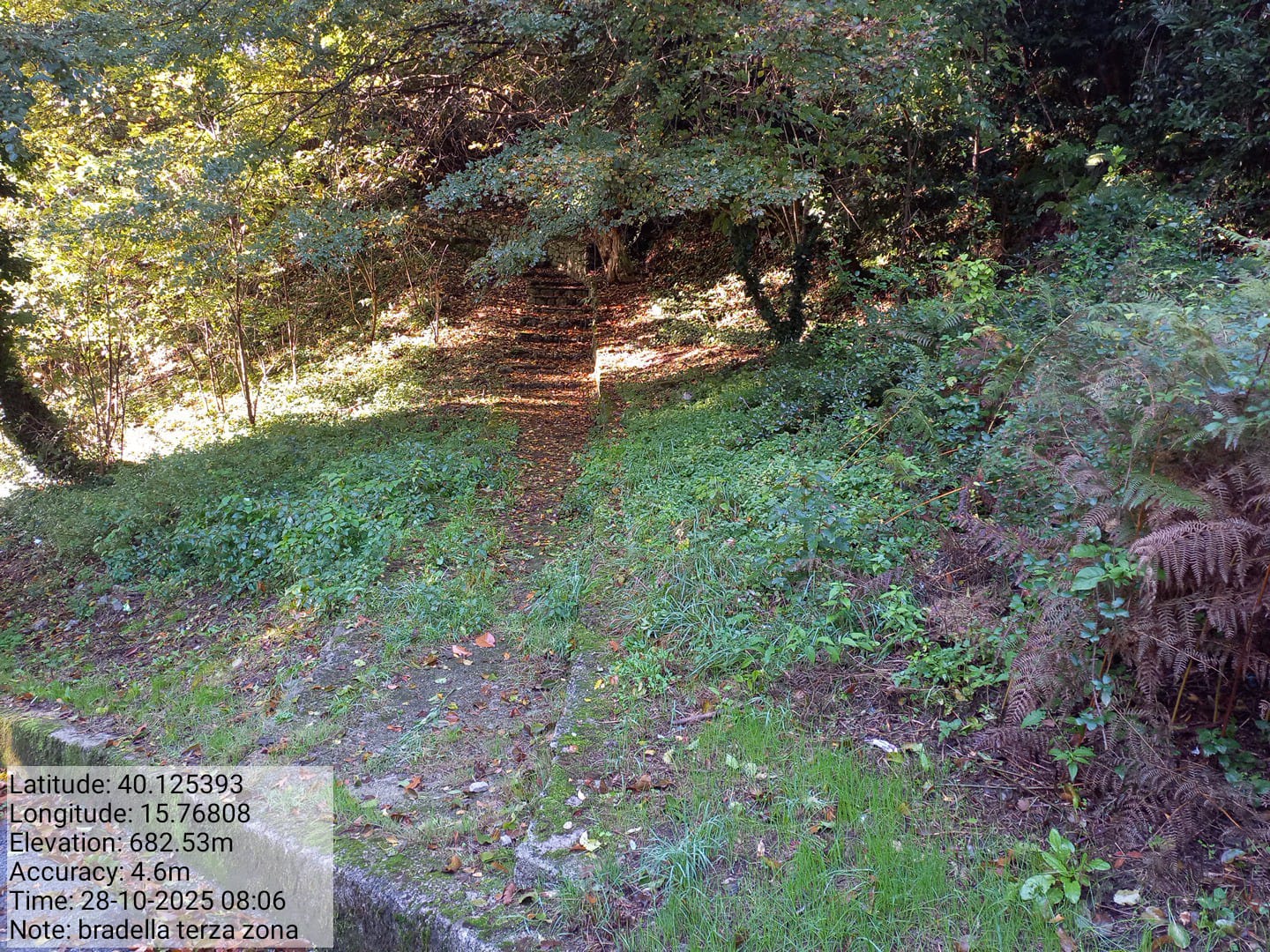 Galleria Fotografica Immagine