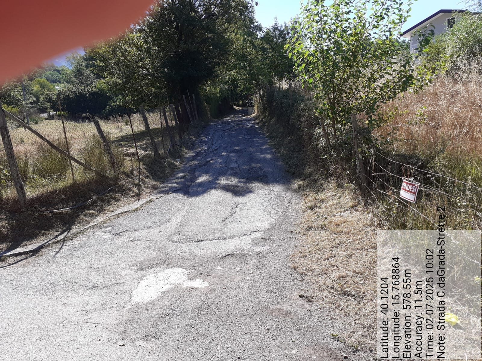 Galleria Fotografica Immagine