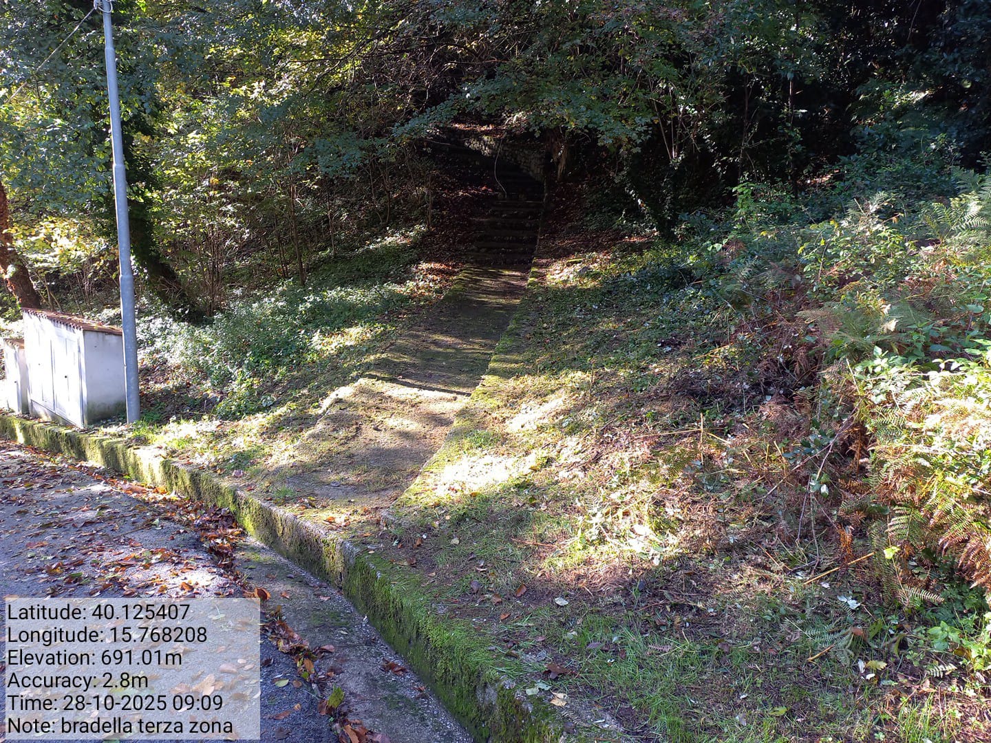 Galleria Fotografica Immagine