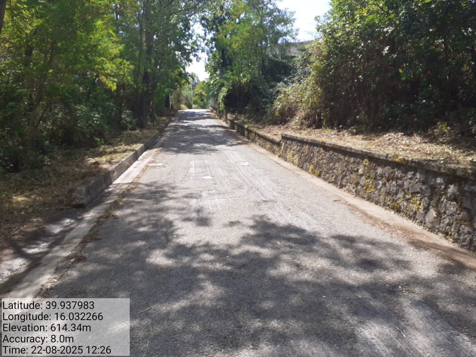 Galleria Fotografica Immagine