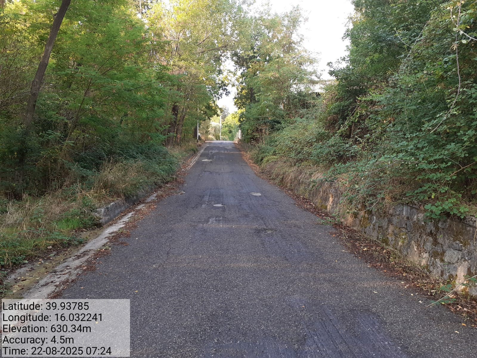 Galleria Fotografica Immagine