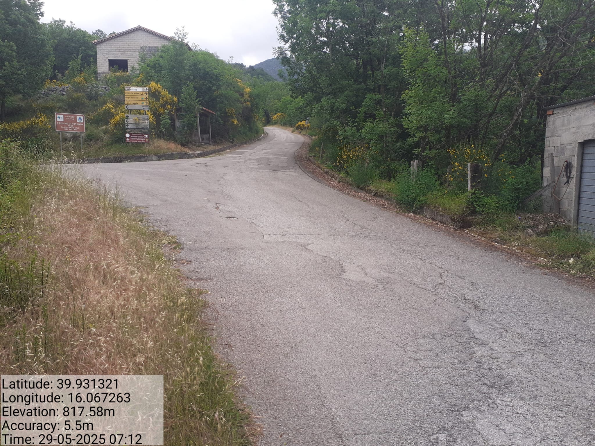 Galleria Fotografica Immagine