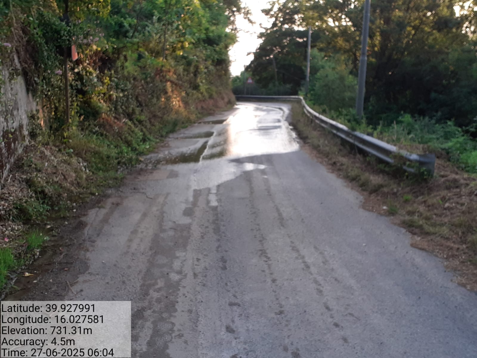 Galleria Fotografica Immagine