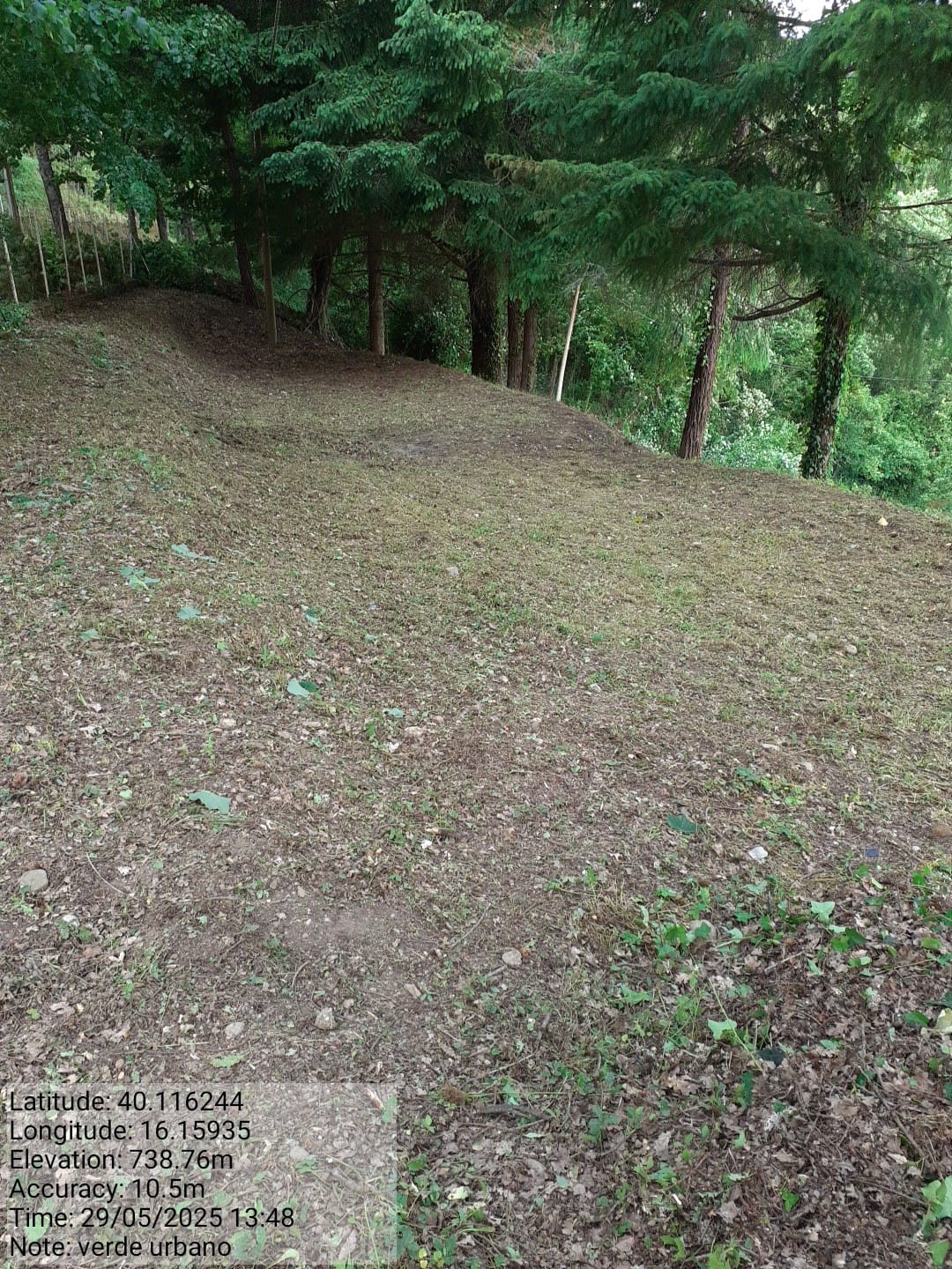 Galleria Fotografica Immagine