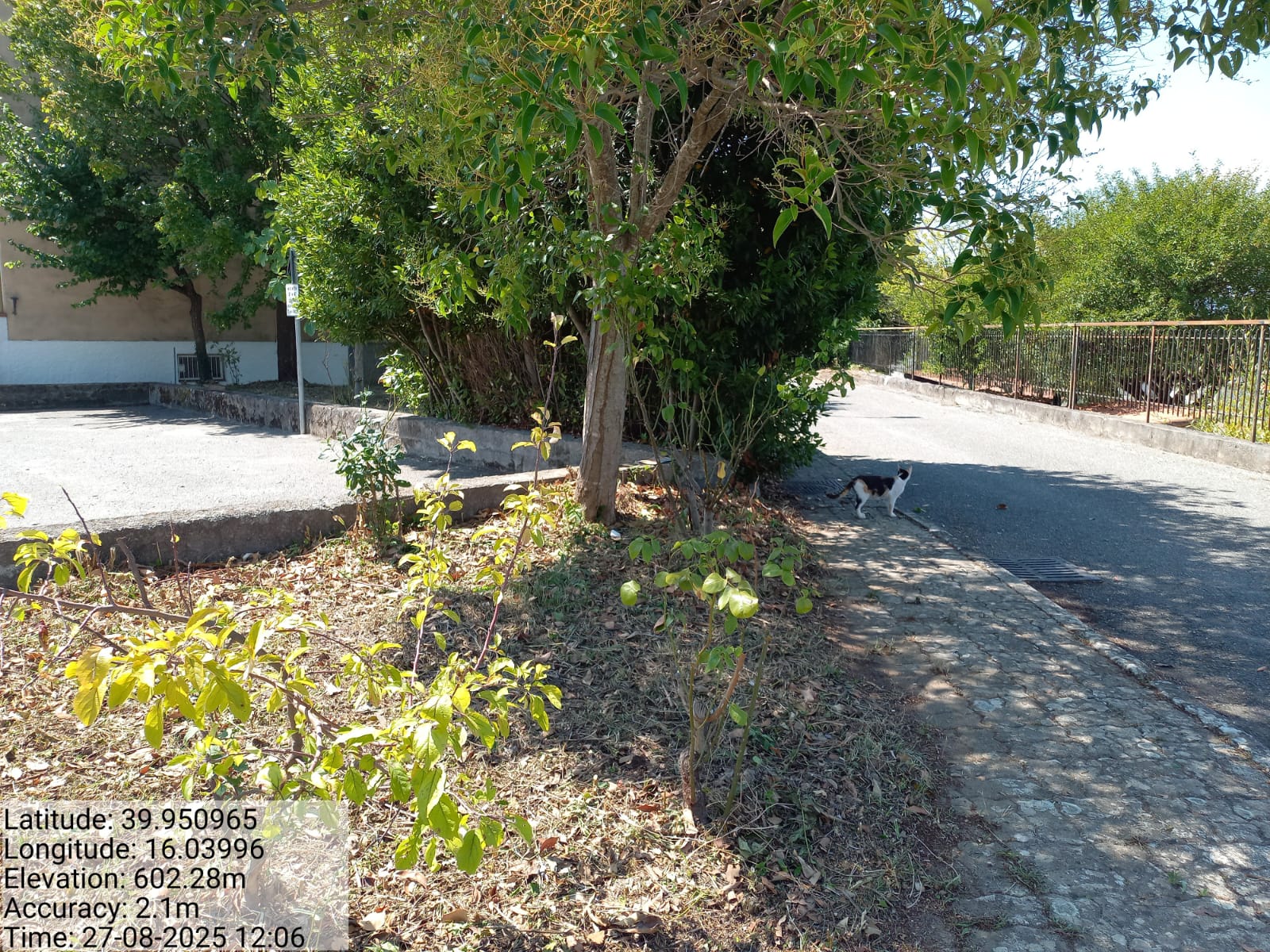 Galleria Fotografica Immagine