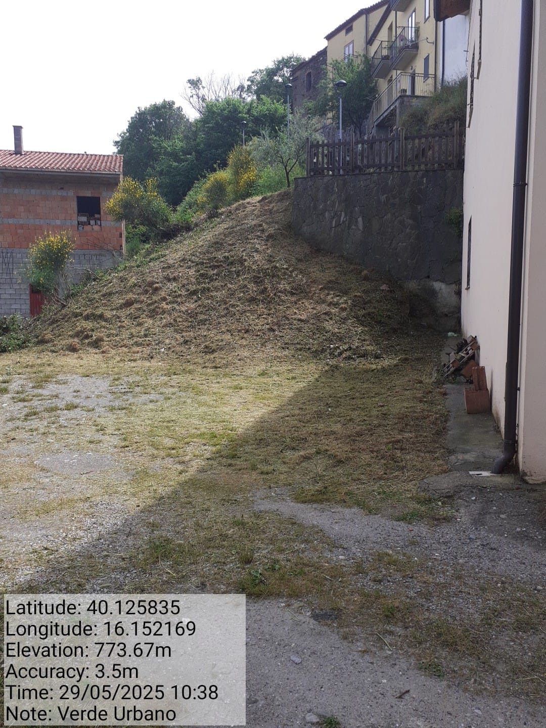 Galleria Fotografica Immagine