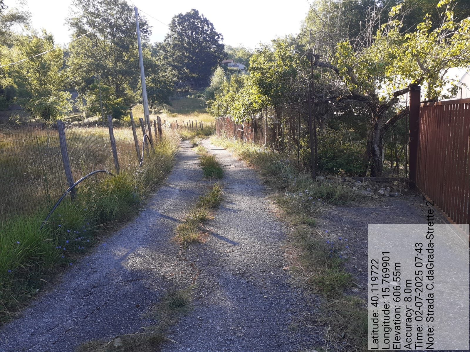 Galleria Fotografica Immagine