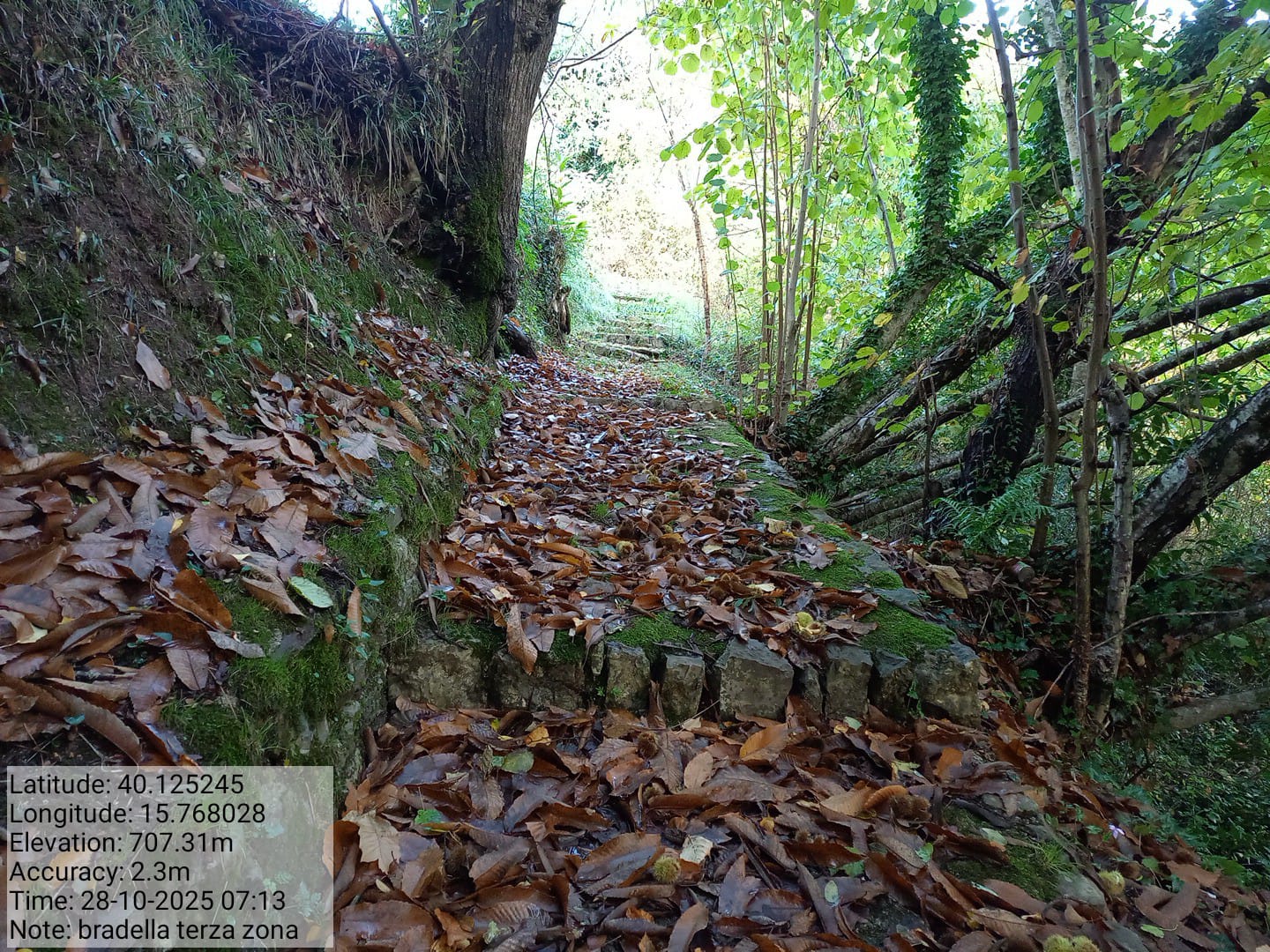 Galleria Fotografica Immagine