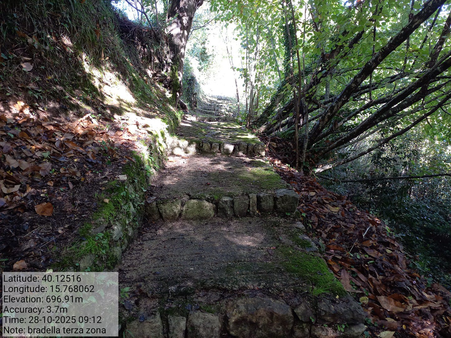 Galleria Fotografica Immagine