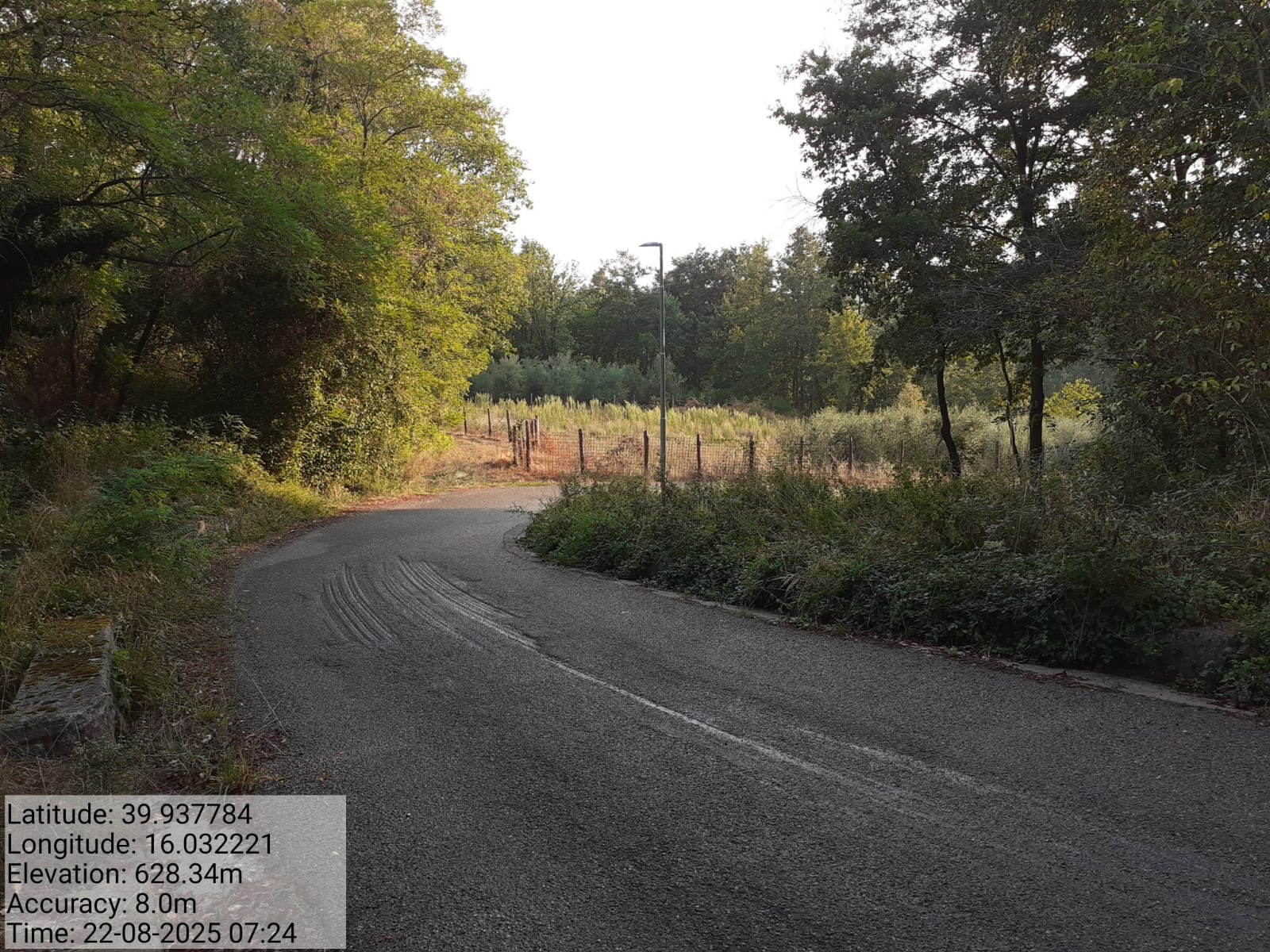 Galleria Fotografica Immagine