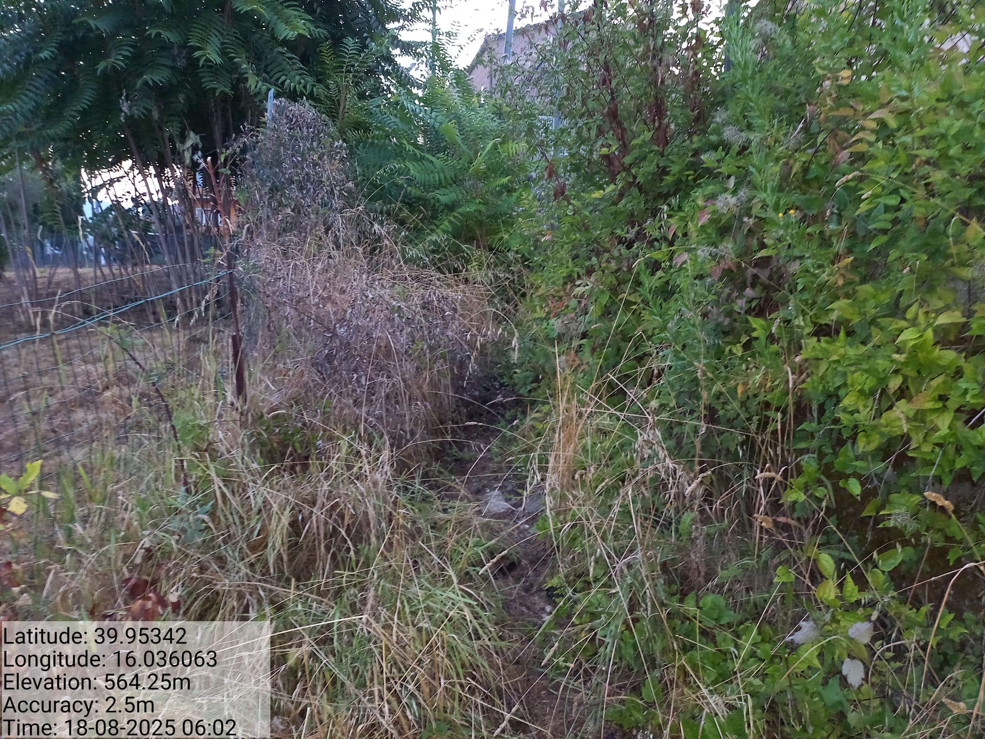 Galleria Fotografica Immagine