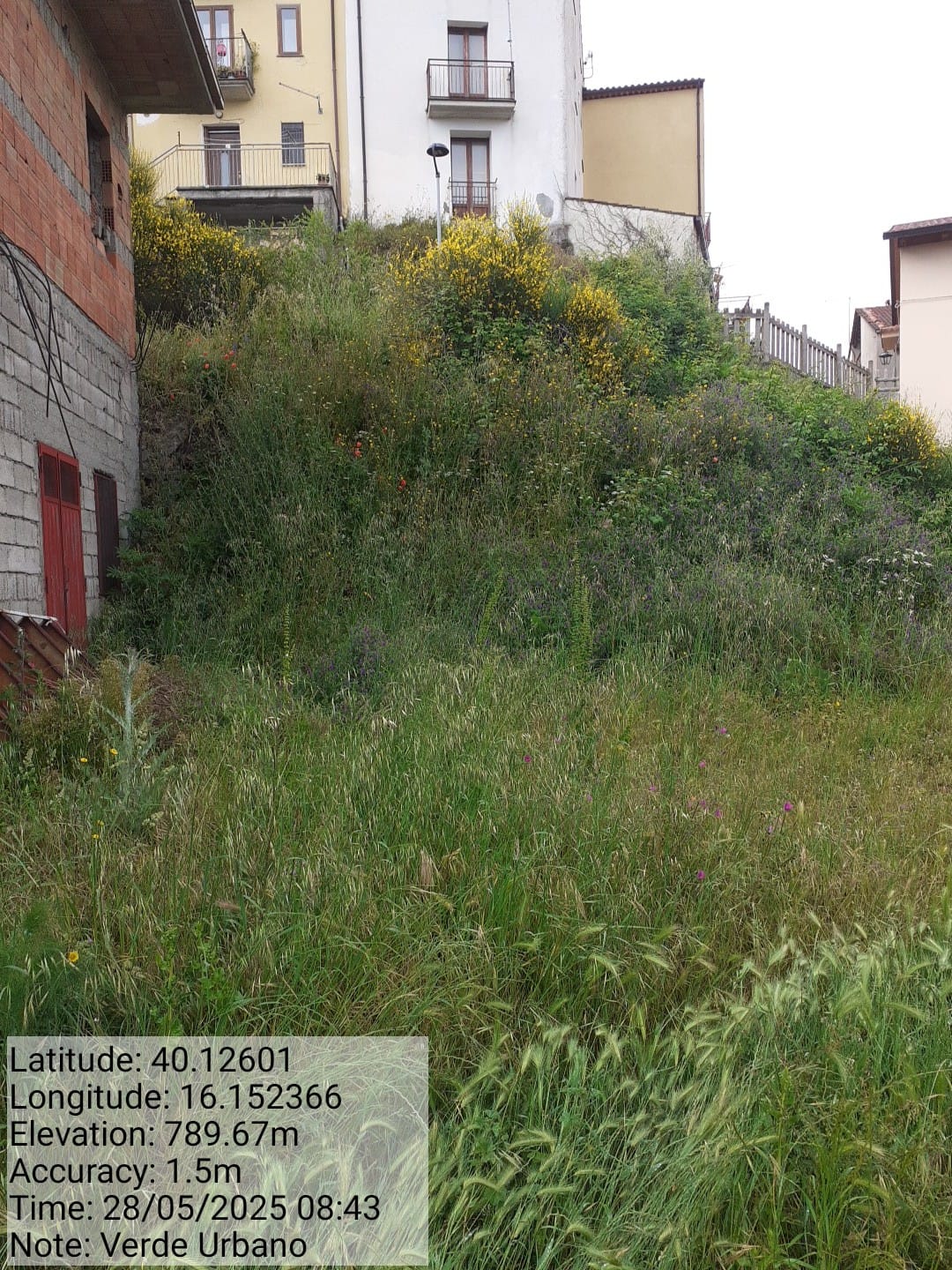 Galleria Fotografica Immagine