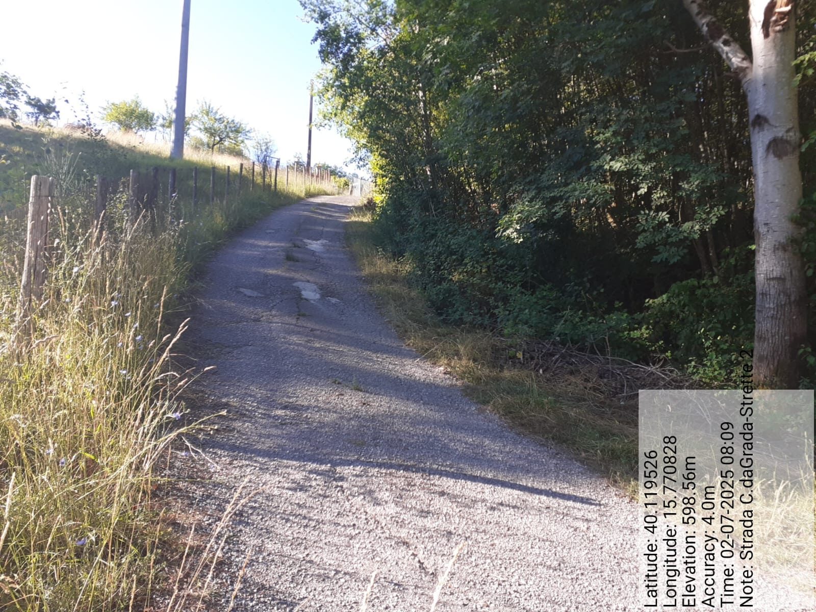 Galleria Fotografica Immagine