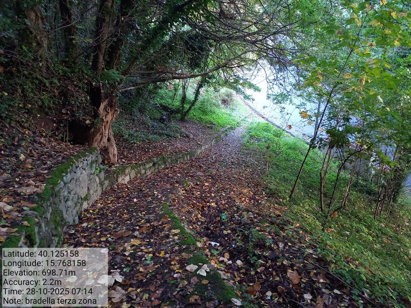 Galleria Fotografica Immagine