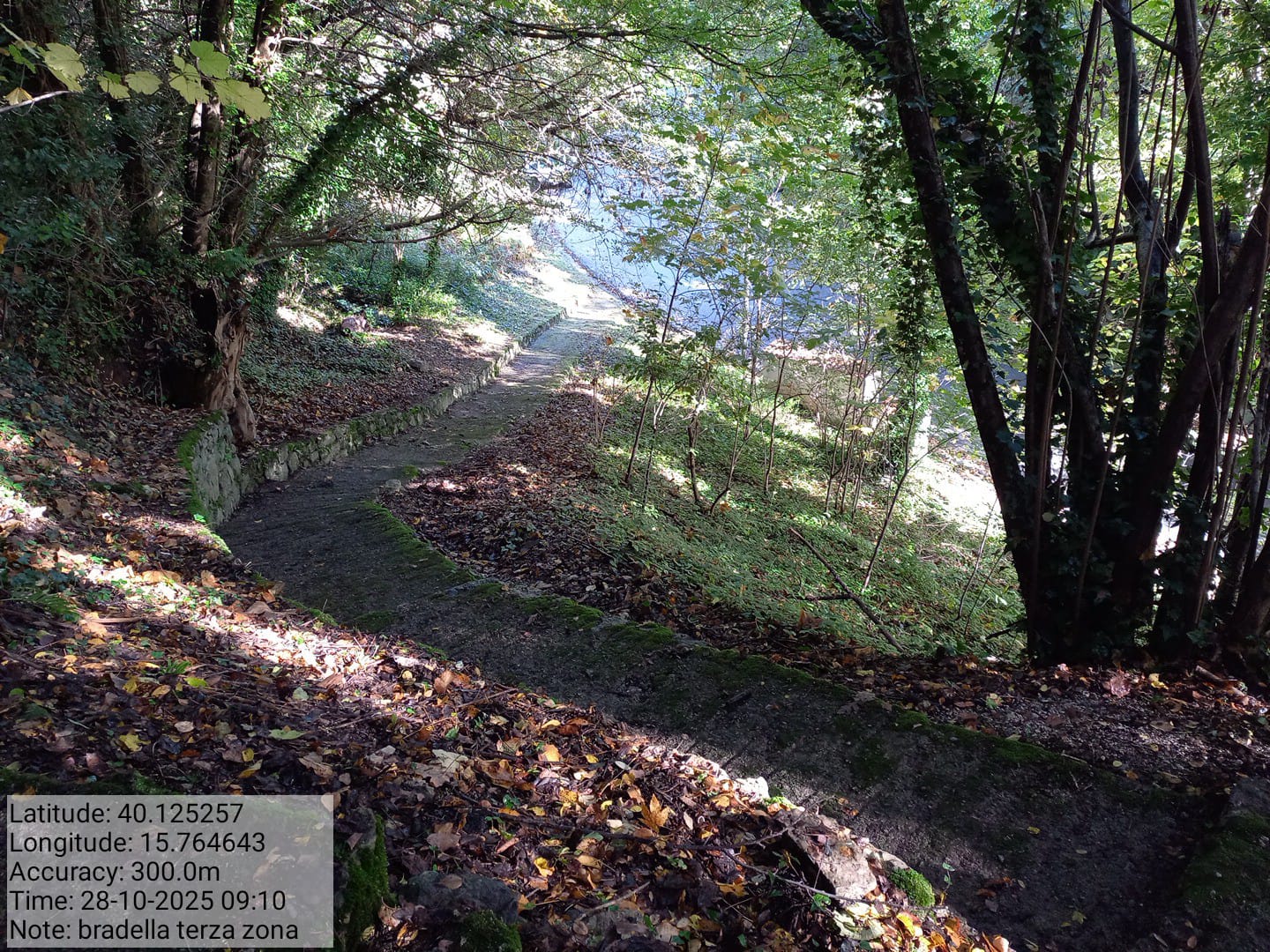 Galleria Fotografica Immagine