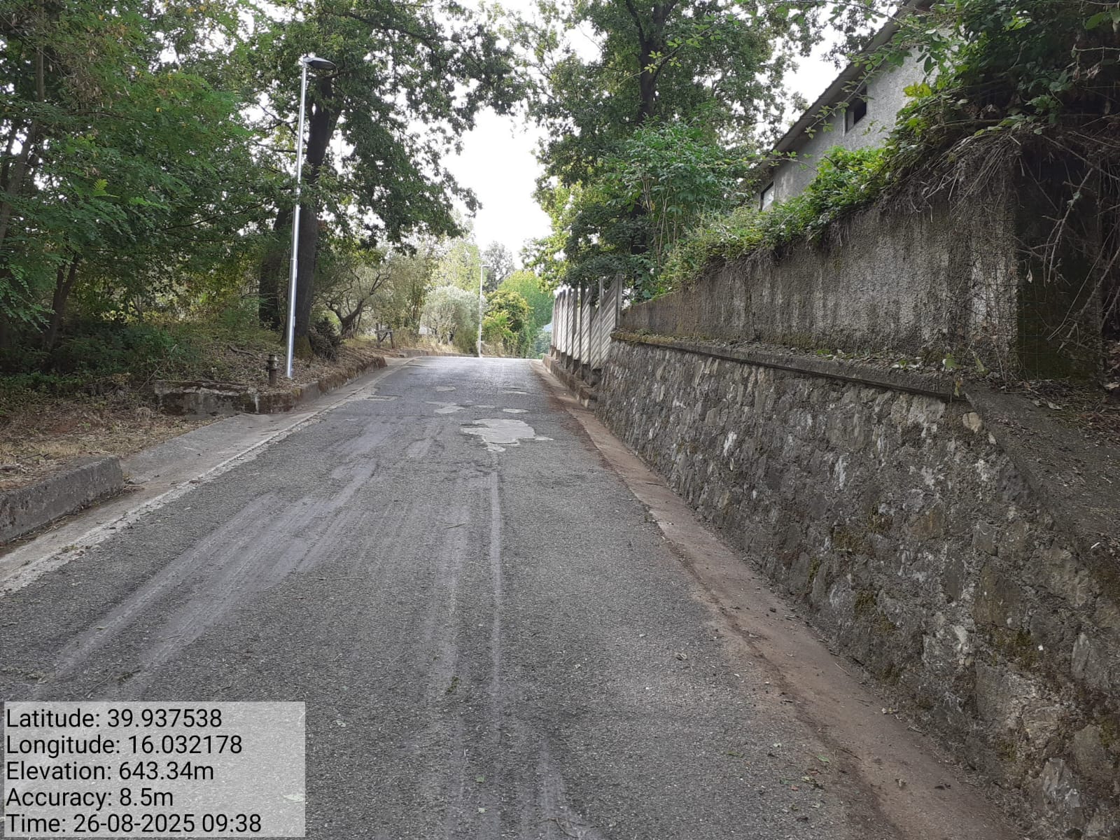 Galleria Fotografica Immagine