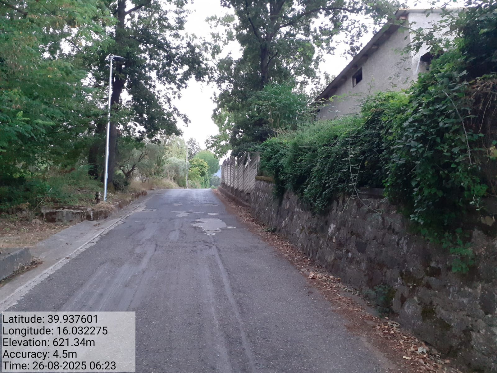 Galleria Fotografica Immagine