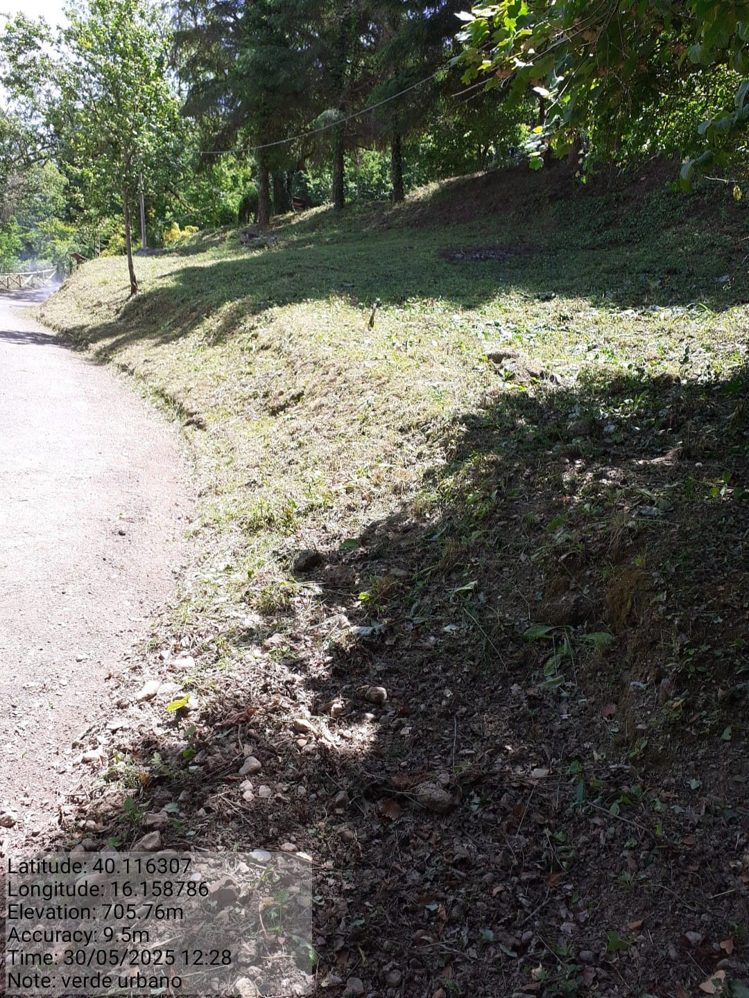 Galleria Fotografica Immagine