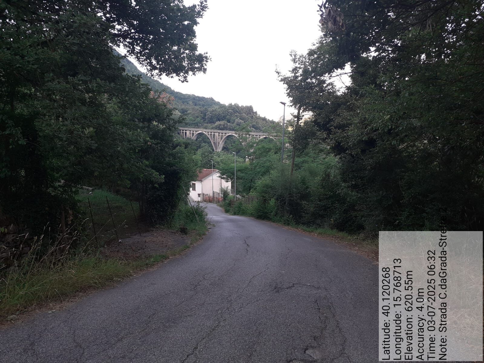 Galleria Fotografica Immagine