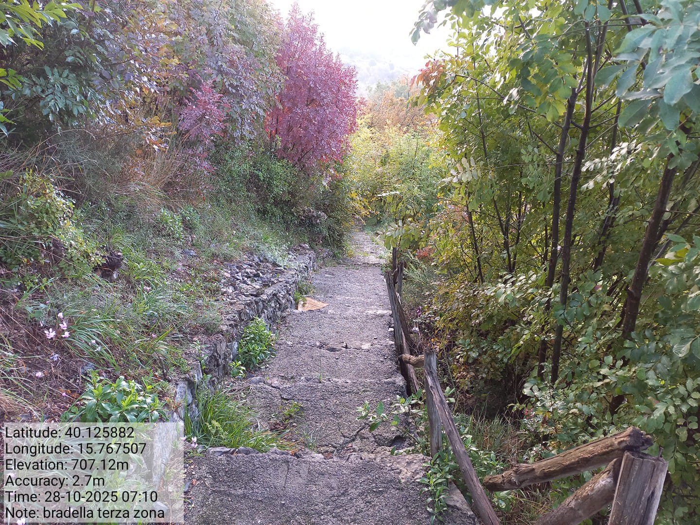 Galleria Fotografica Immagine