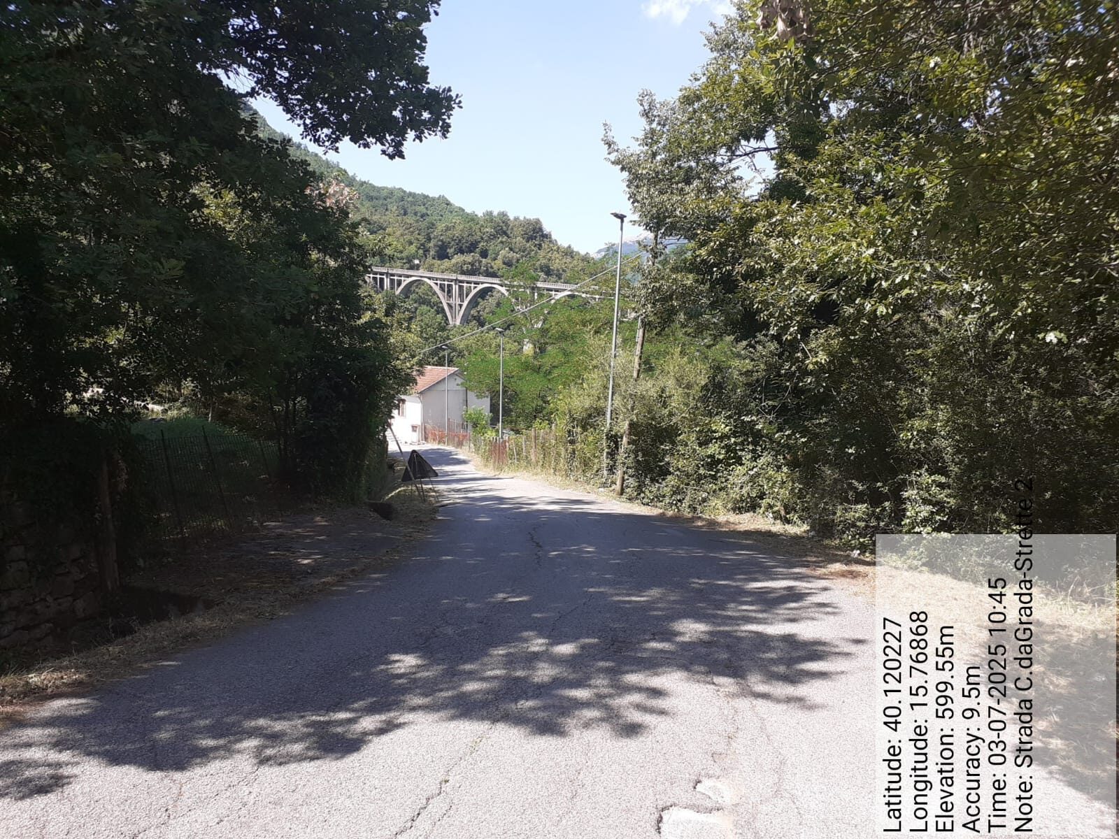 Galleria Fotografica Immagine