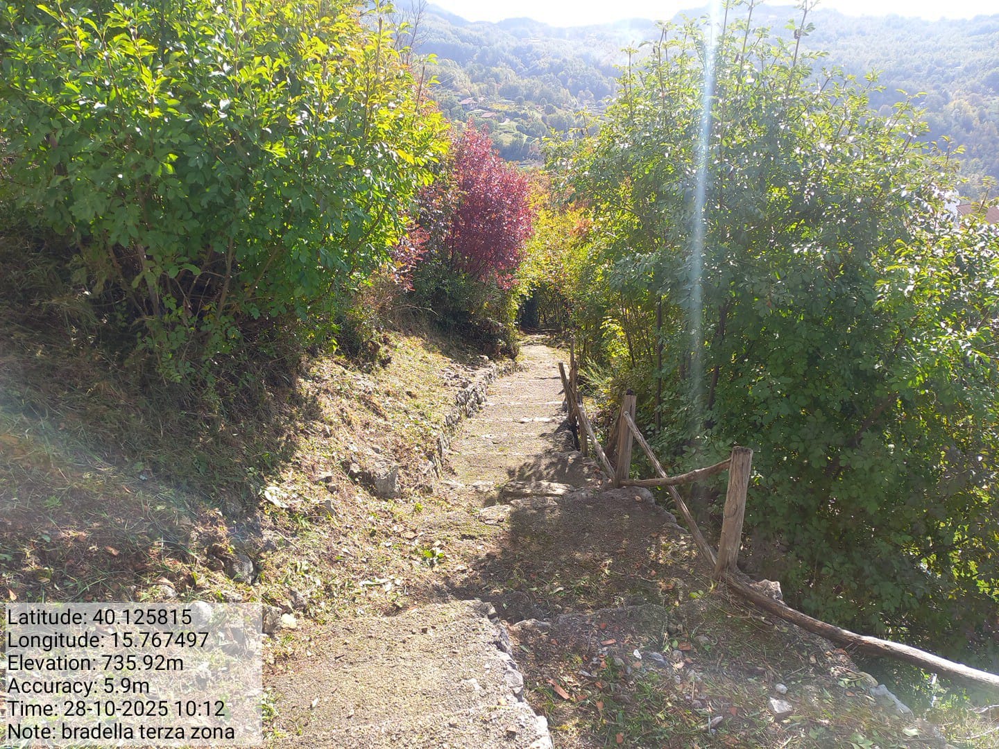 Galleria Fotografica Immagine