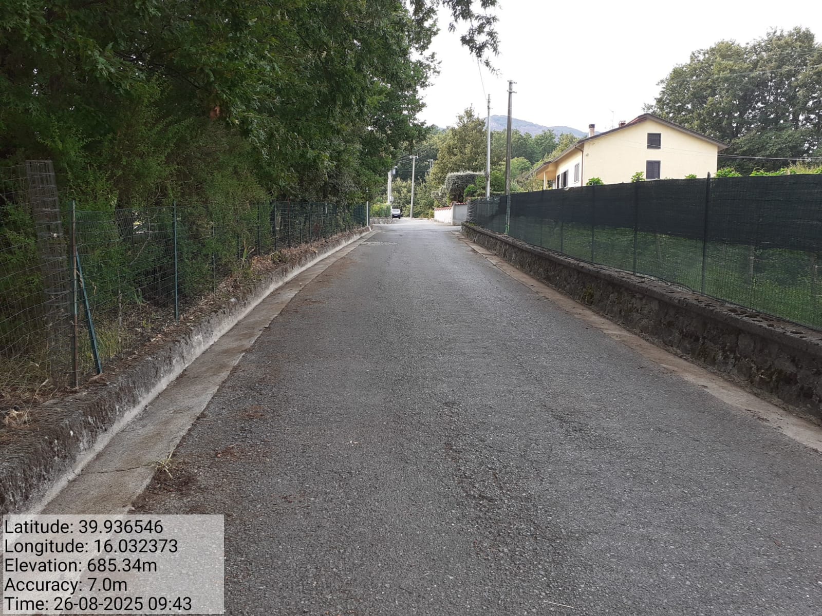 Galleria Fotografica Immagine