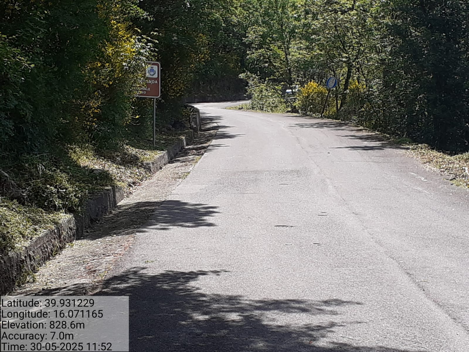 Galleria Fotografica Immagine