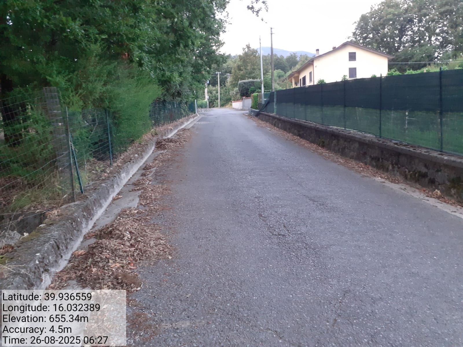 Galleria Fotografica Immagine