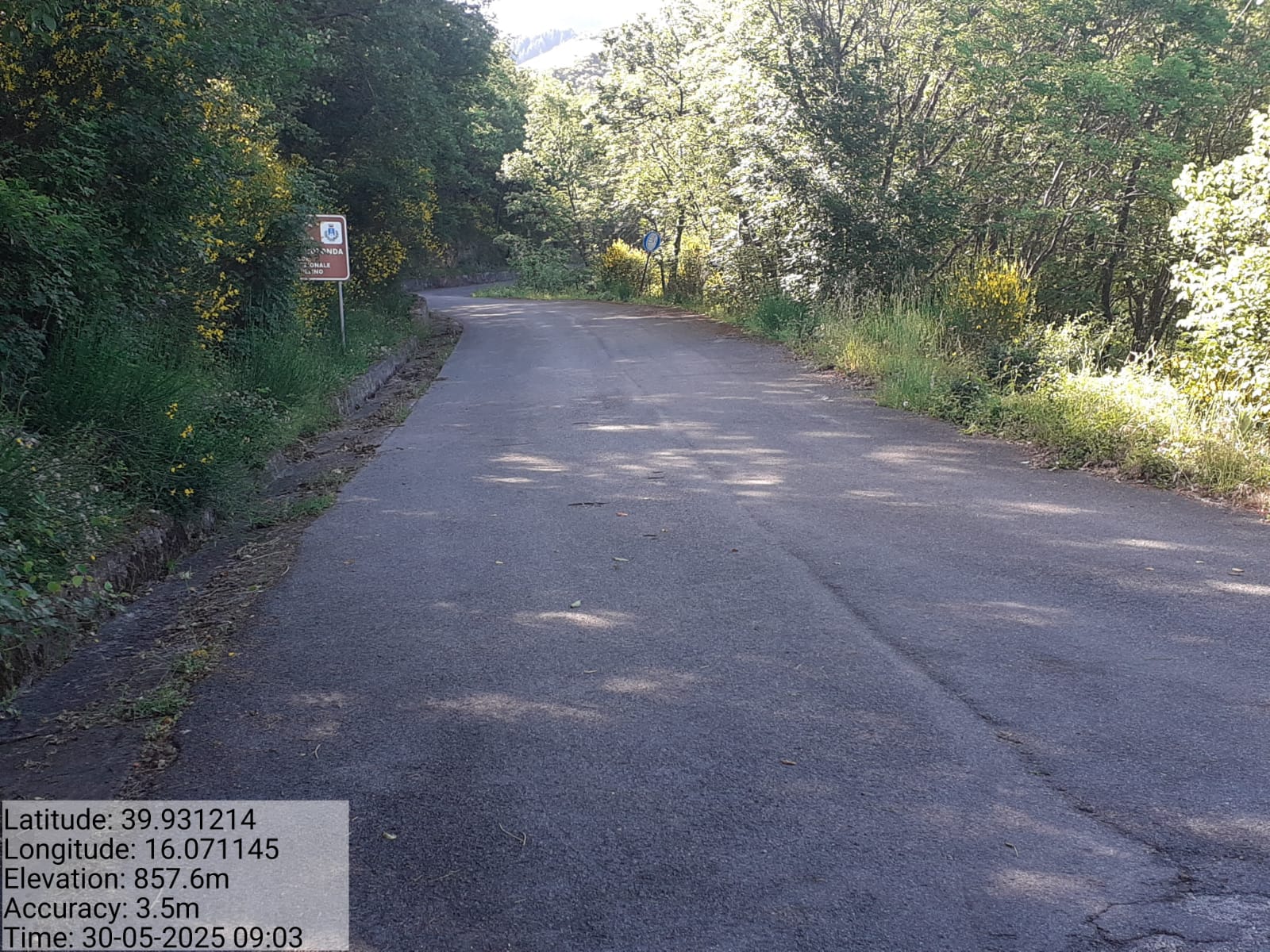 Galleria Fotografica Immagine