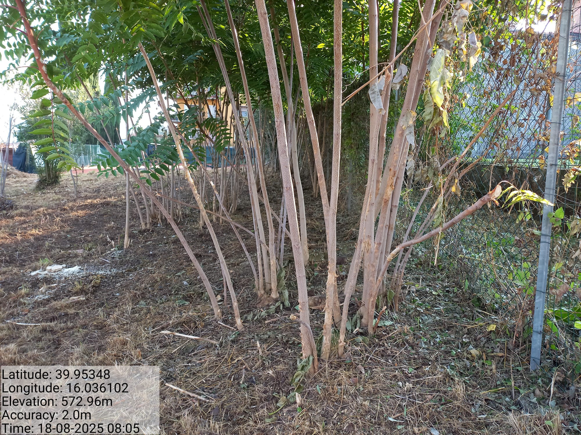 Galleria Fotografica Immagine