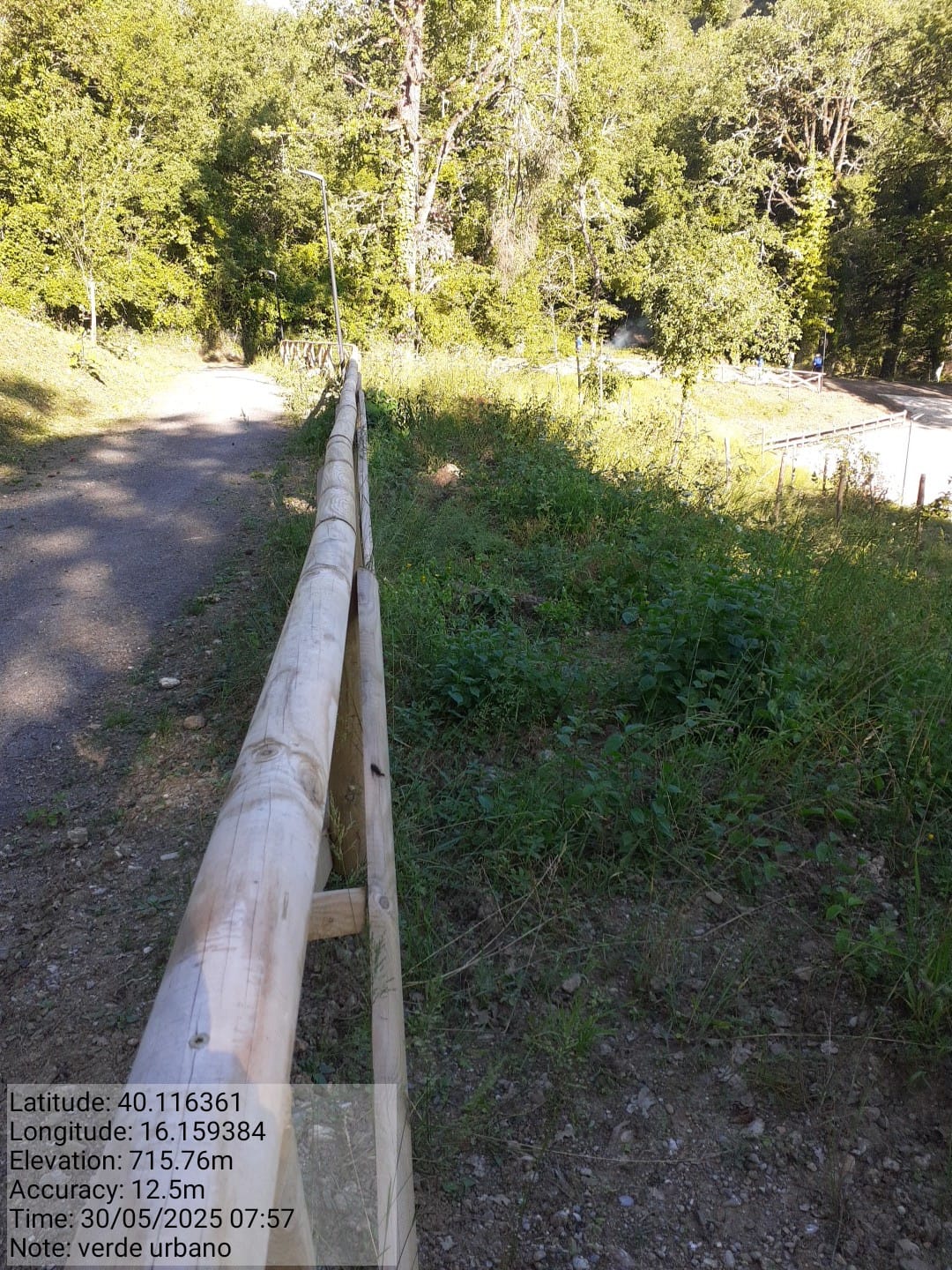 Galleria Fotografica Immagine