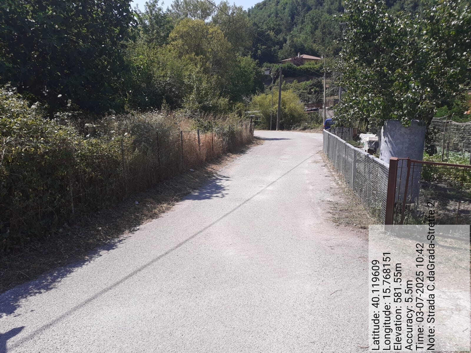 Galleria Fotografica Immagine