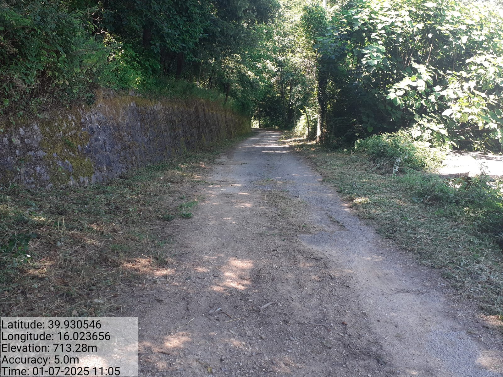 Galleria Fotografica Immagine