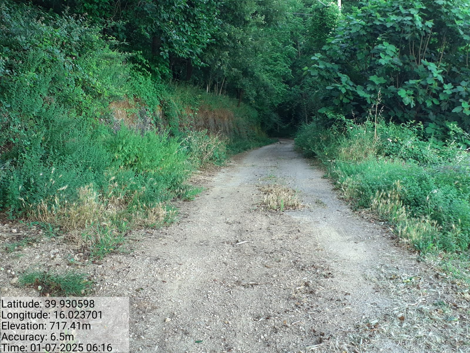 Galleria Fotografica Immagine