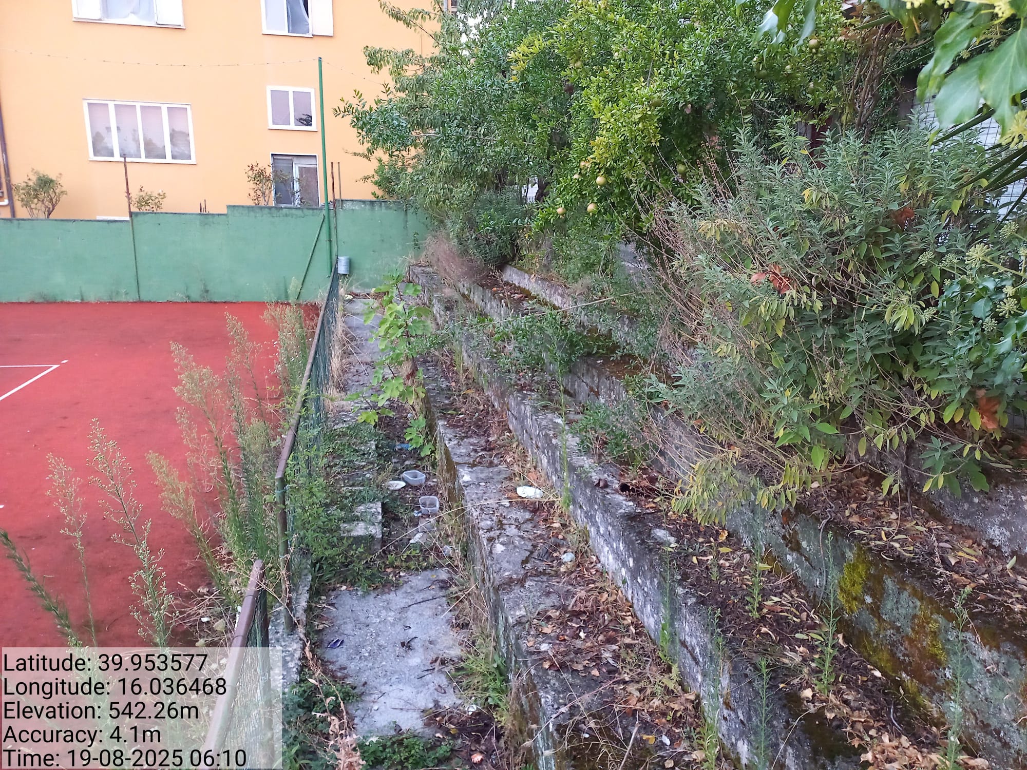 Galleria Fotografica Immagine