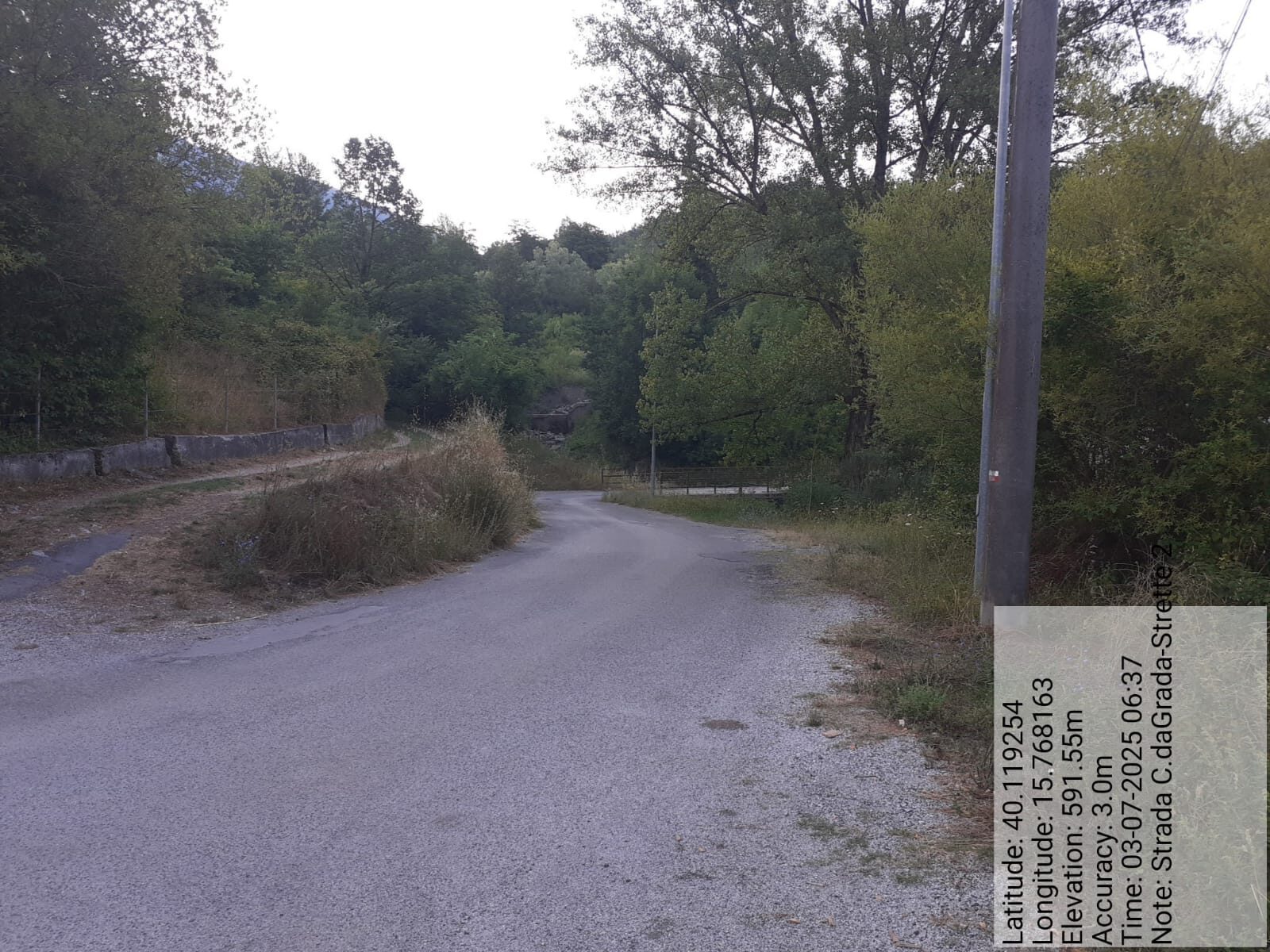 Galleria Fotografica Immagine