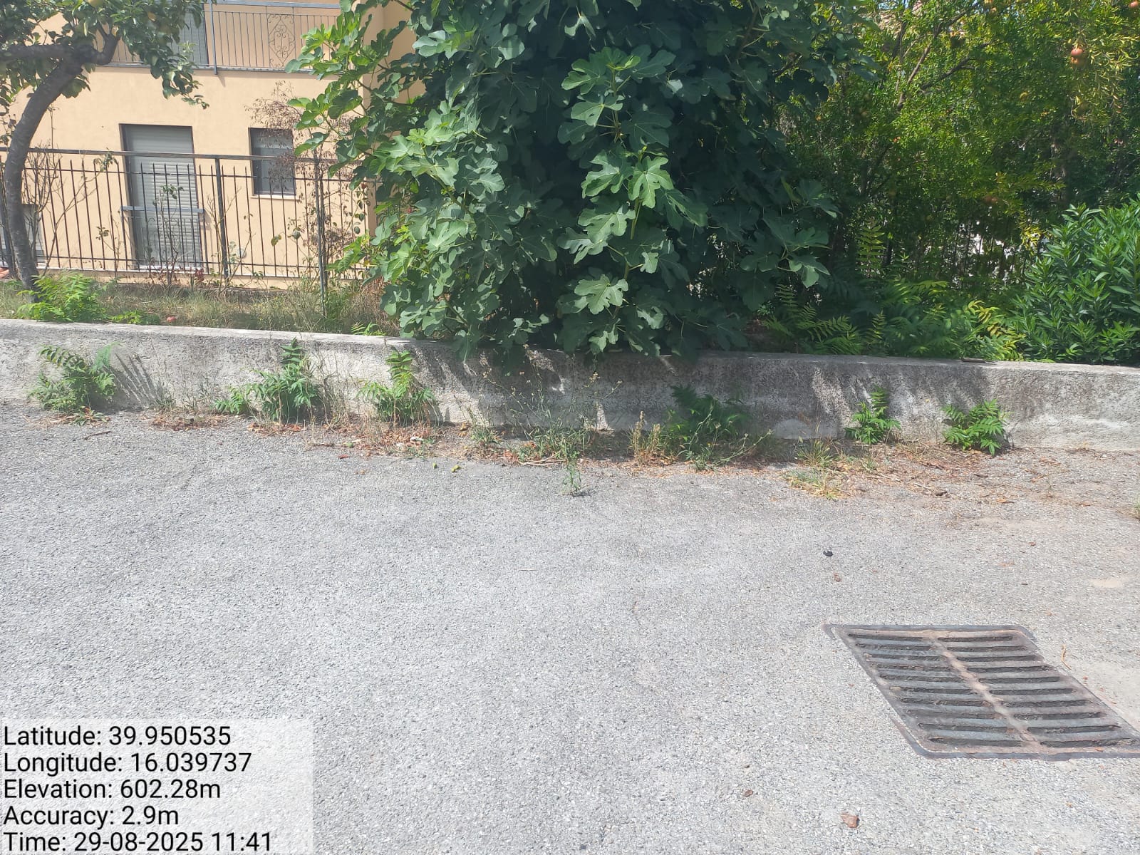 Galleria Fotografica Immagine