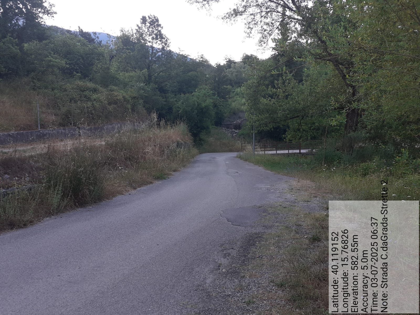 Galleria Fotografica Immagine