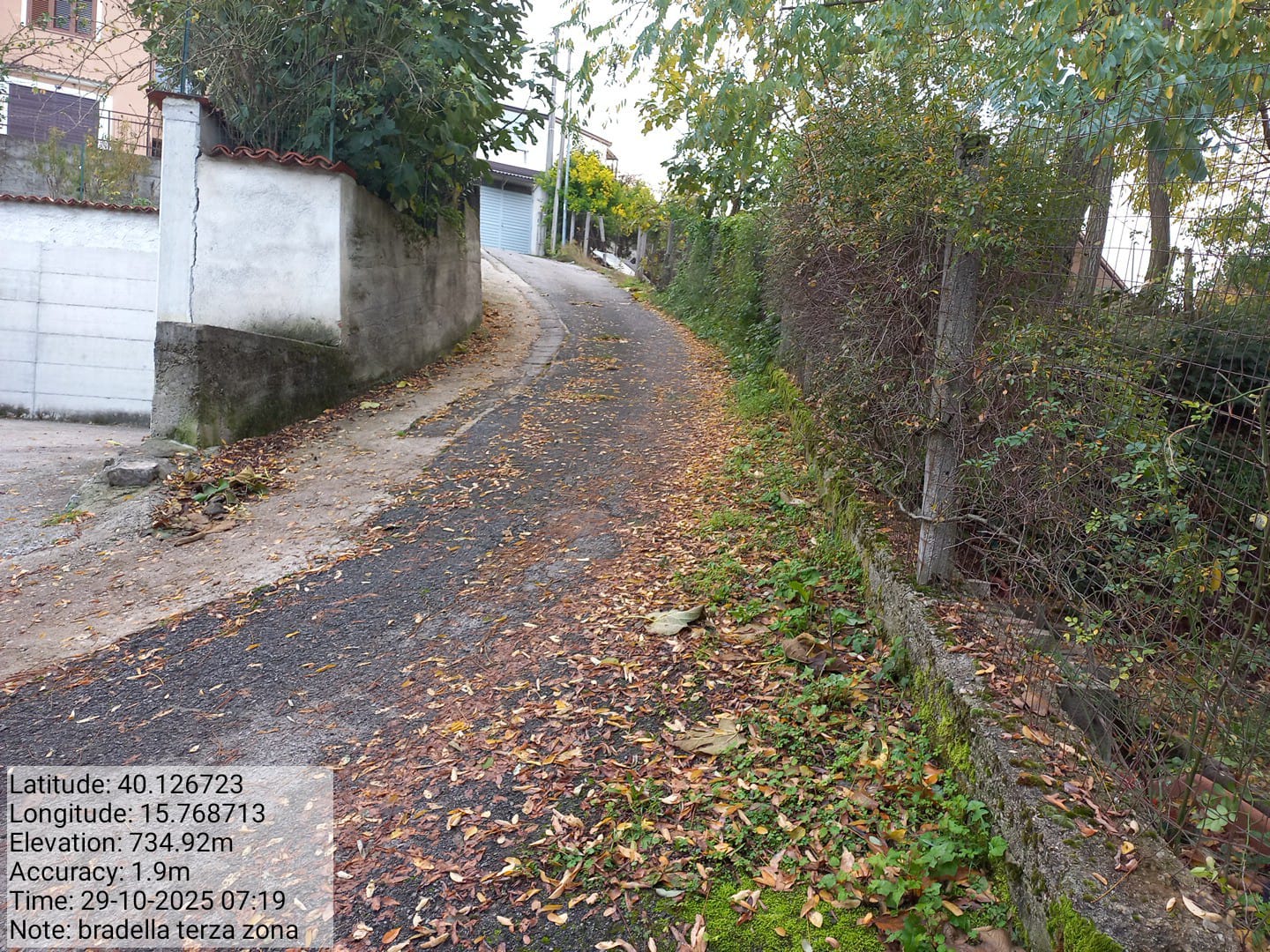 Galleria Fotografica Immagine