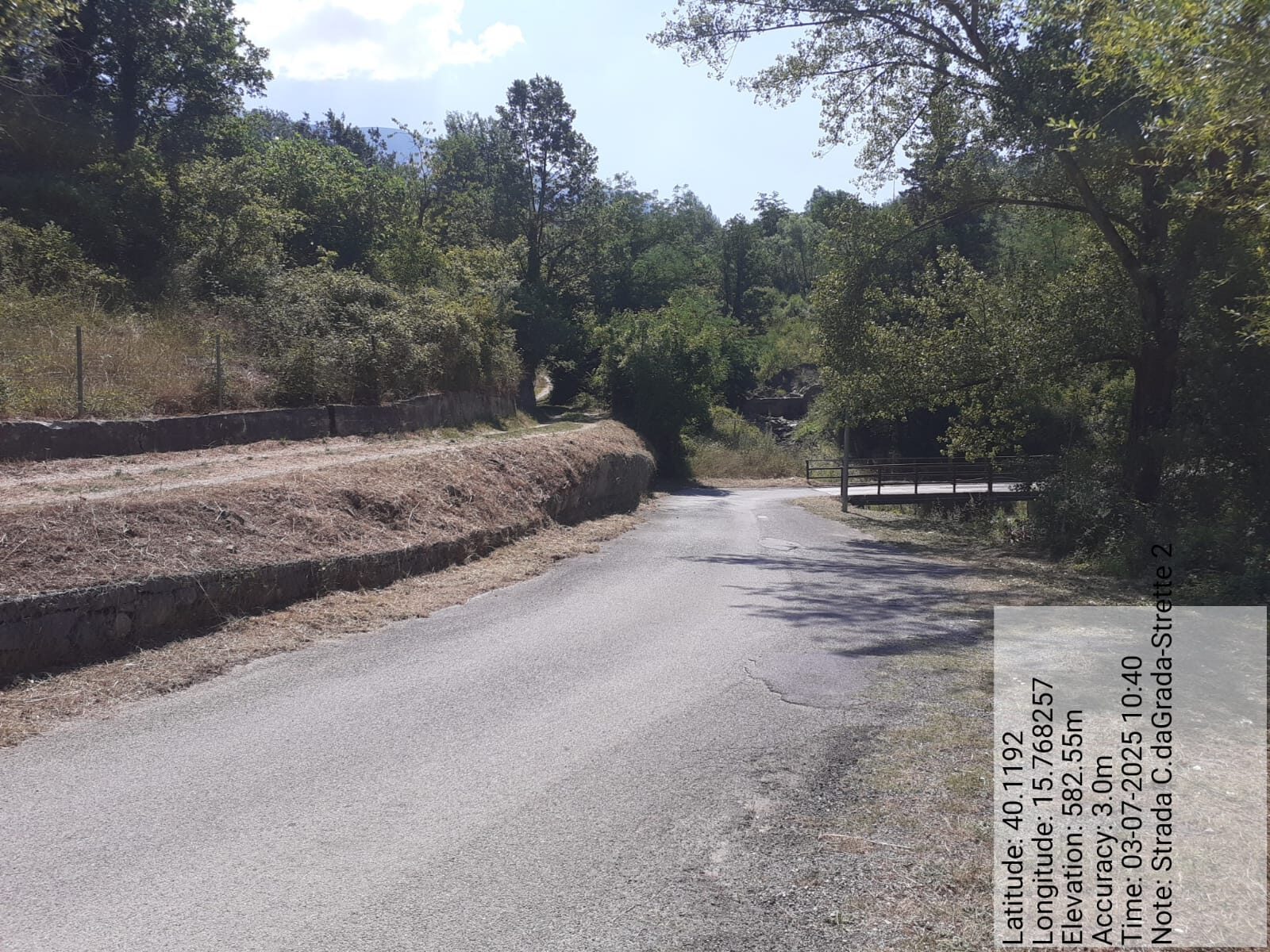 Galleria Fotografica Immagine