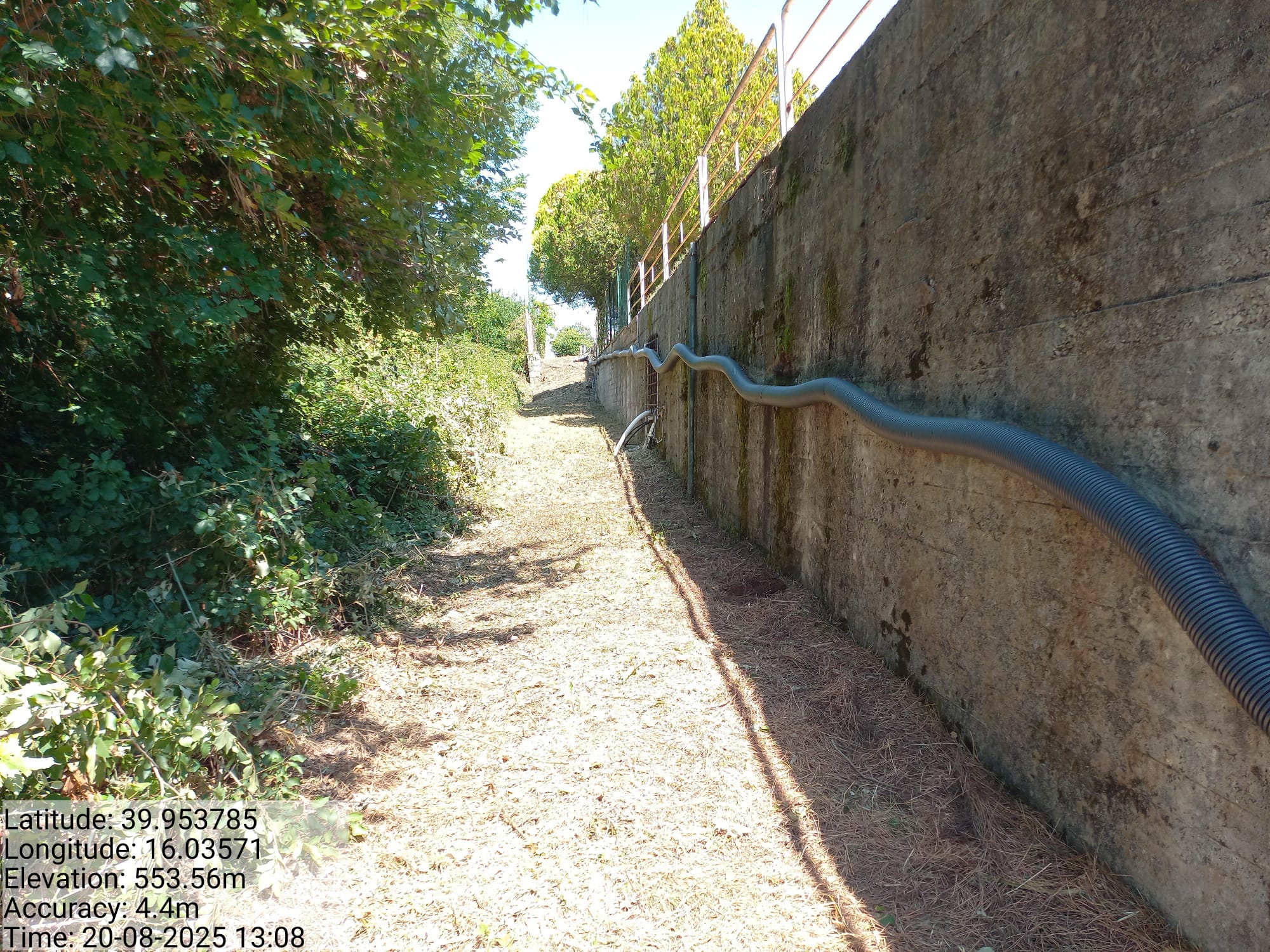 Galleria Fotografica Immagine