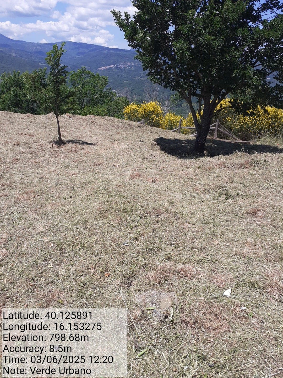 Galleria Fotografica Immagine