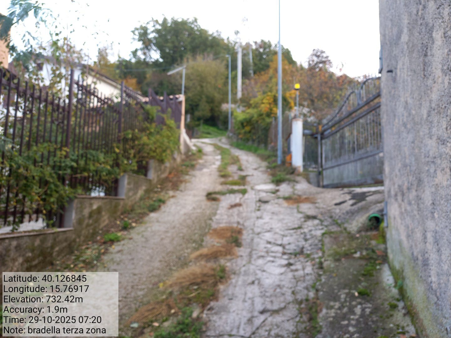 Galleria Fotografica Immagine