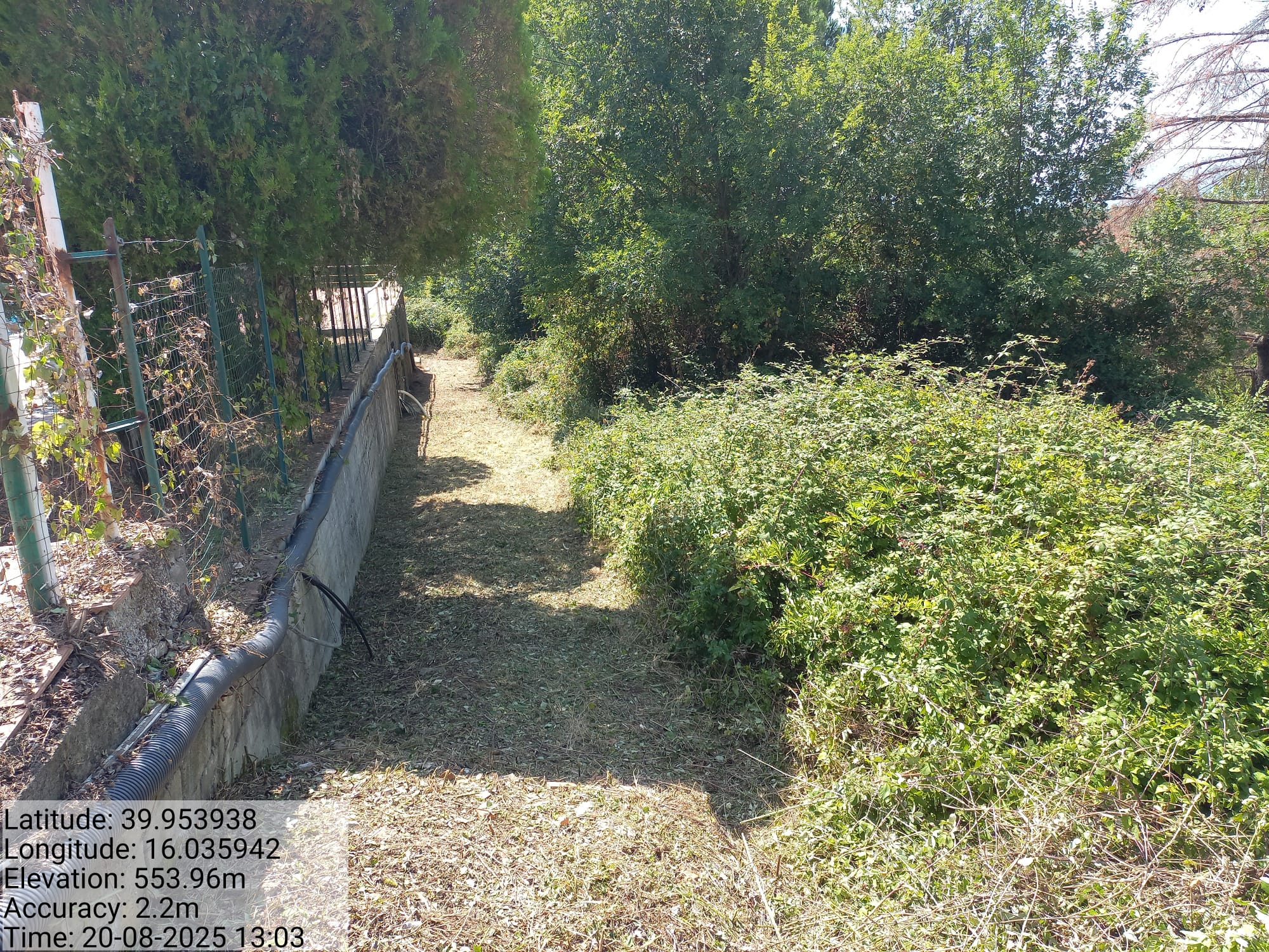 Galleria Fotografica Immagine