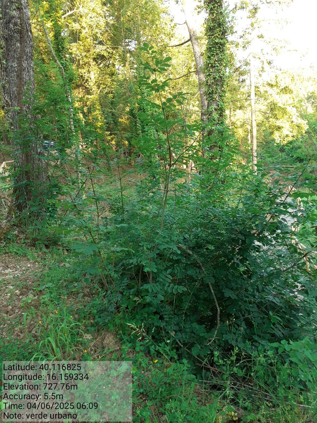 Galleria Fotografica Immagine