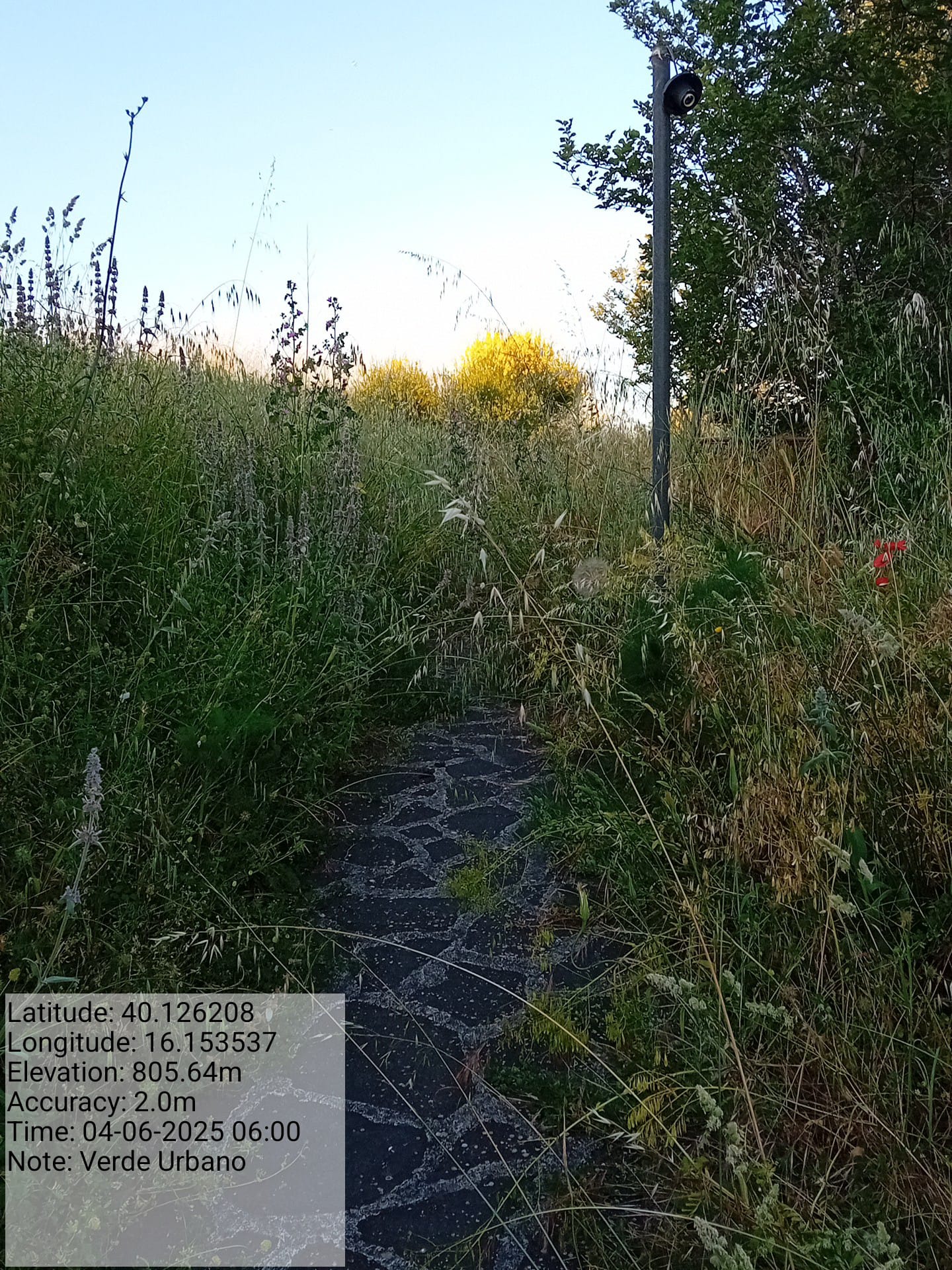 Galleria Fotografica Immagine