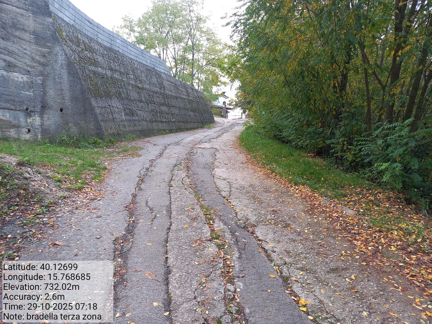 Galleria Fotografica Immagine