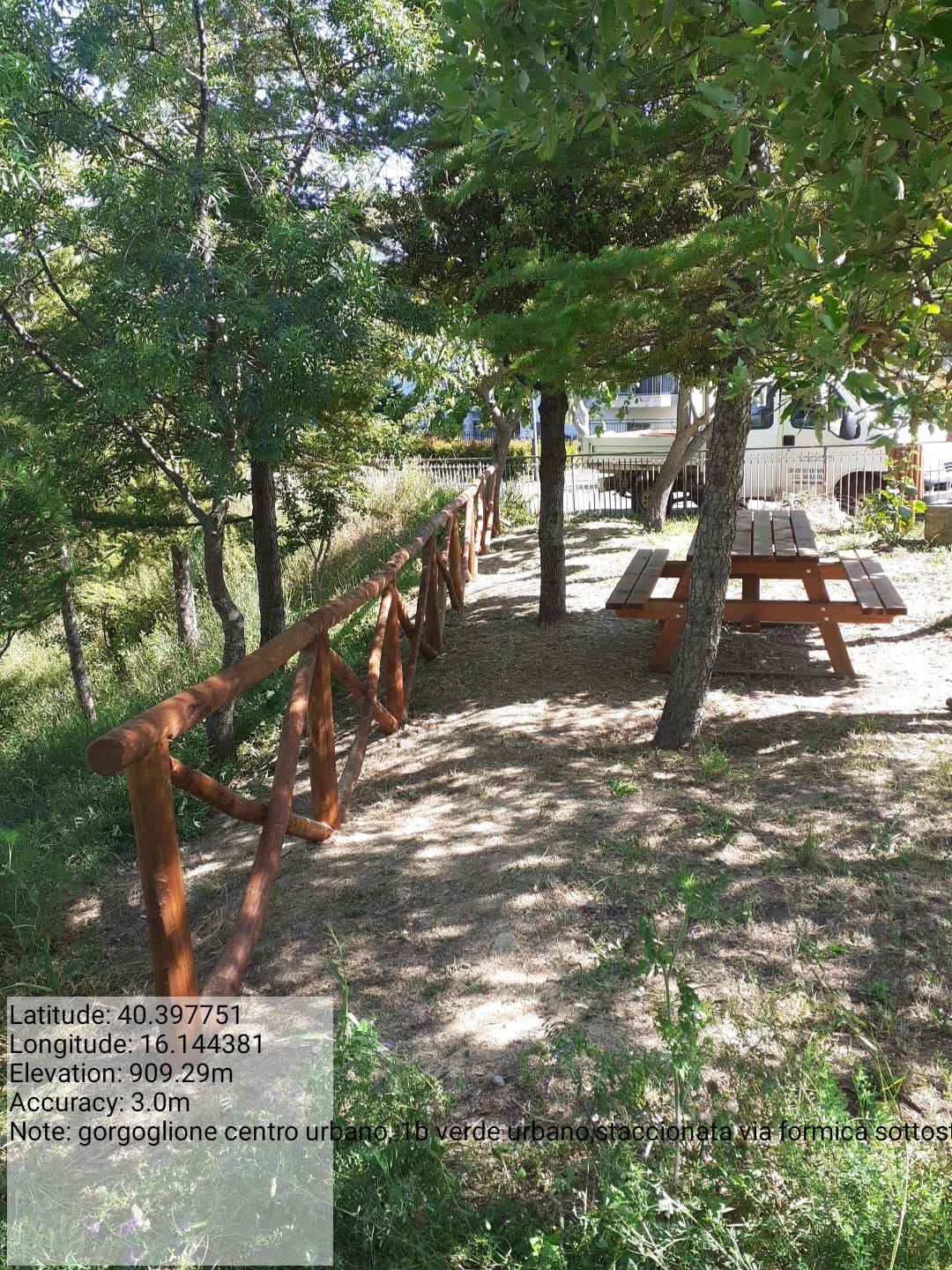 Galleria Fotografica Immagine